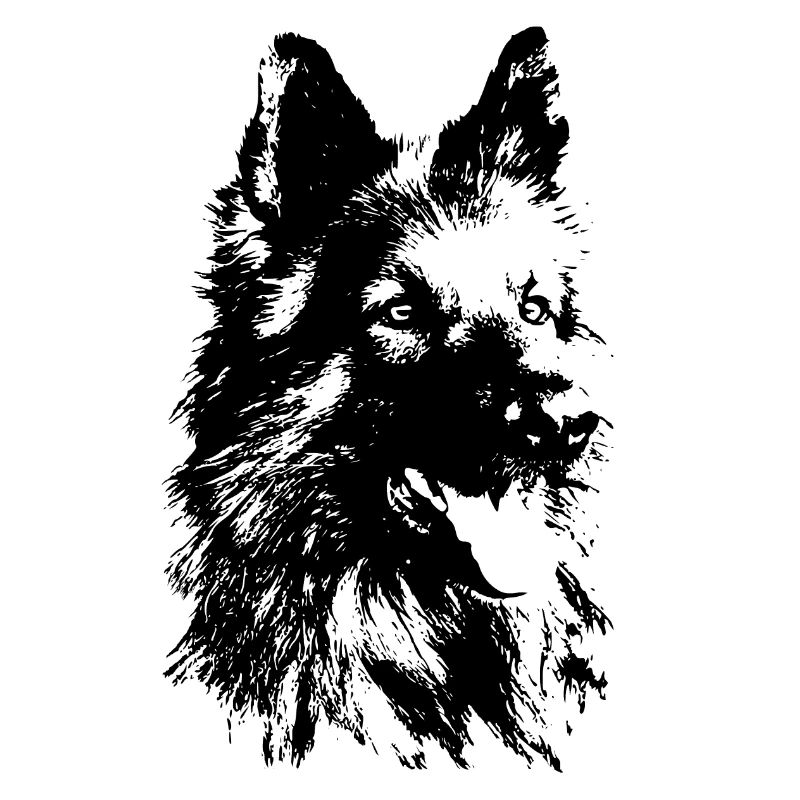 Deutscher Schäferhund