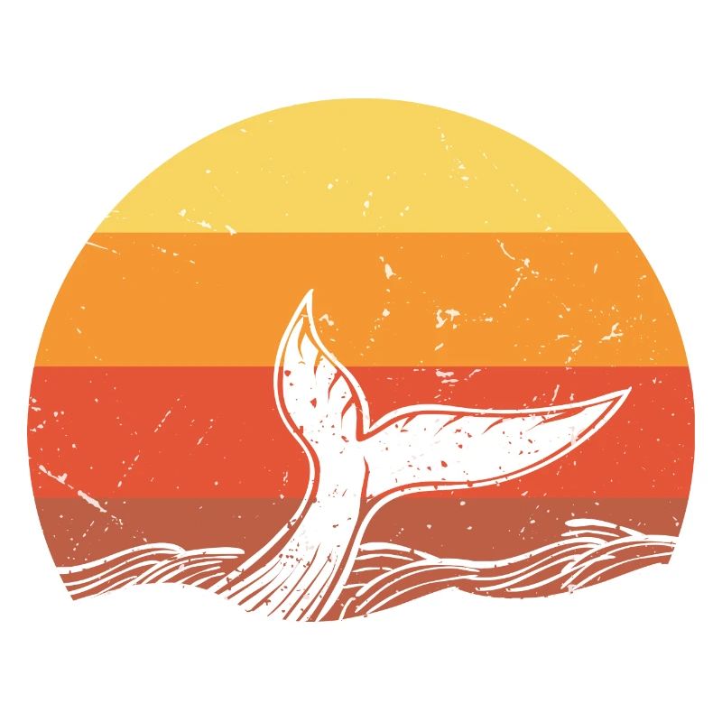 Requin requin - Shark