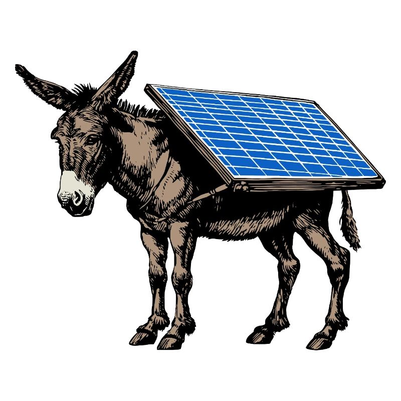 Solar - Esel - Lasttier, Packesel, Solarpanel