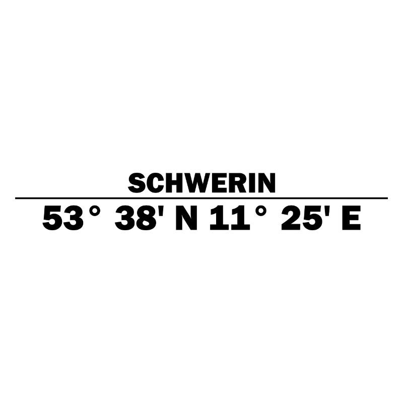 Schwerin coordinates