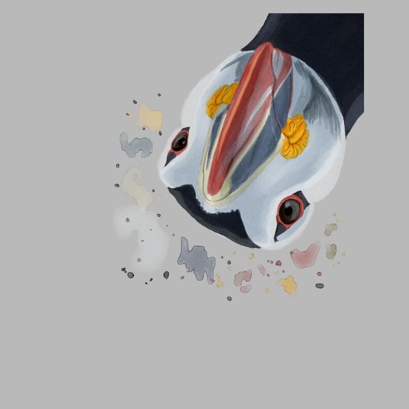 Funny Curious Puffin Bird