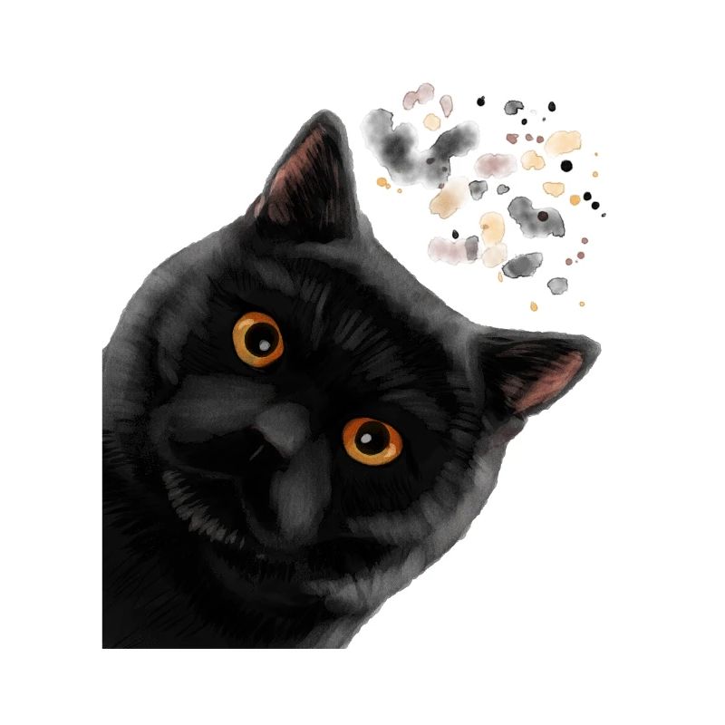 Neugierige Schwarze Britisch Kurzhaar Katze