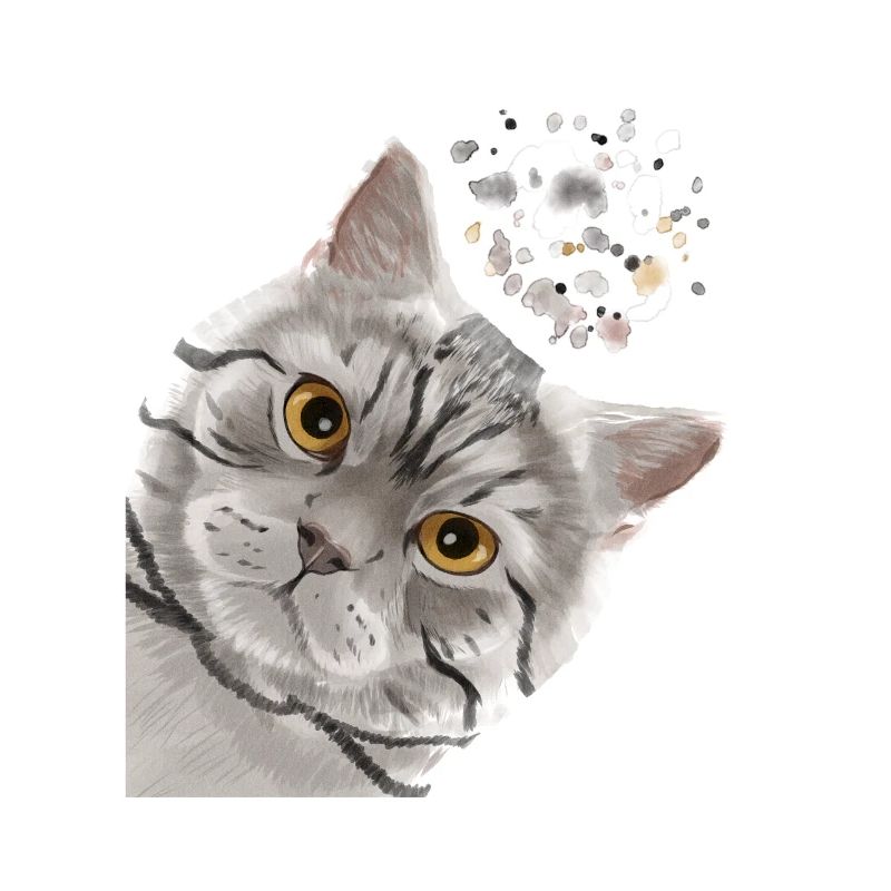 Funny Curious Tabby British Shorthair Cat