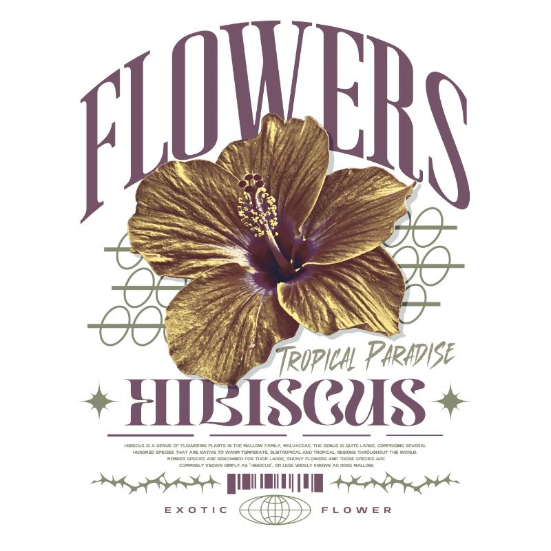 Fleur d’hibiscus Fleur d’hibiscus