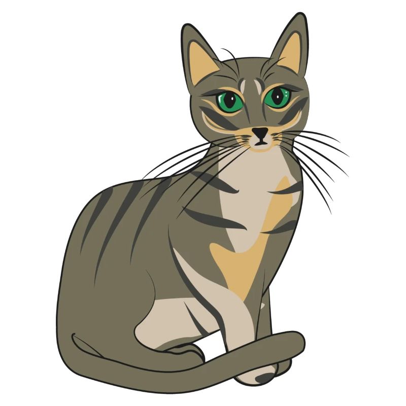 Chat