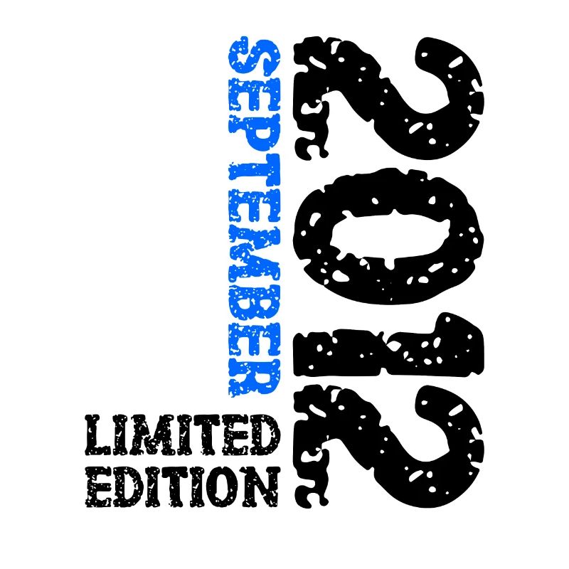 2012 Septembre Edition Limitée 11ème Anniversaire Décoration