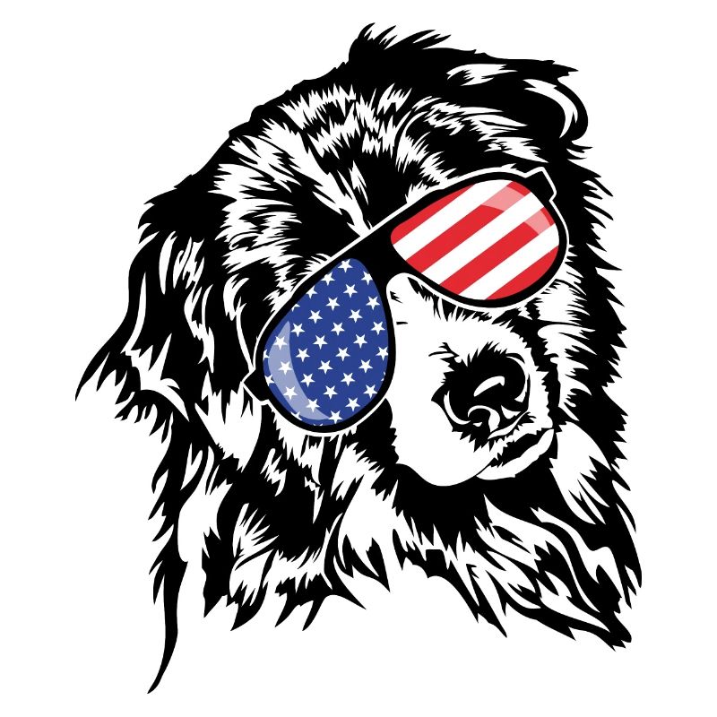 BERGER AUSTRALIEN Amérique Drapeau Aussie Wilsigns