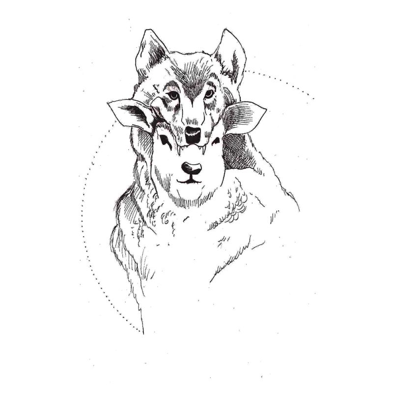 Schaf und Wolf