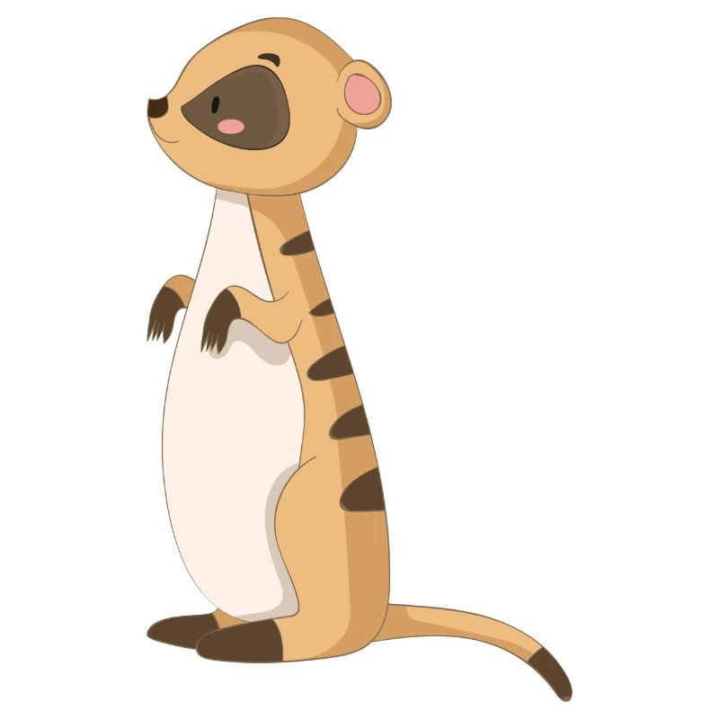 Manguste Erdmännchen