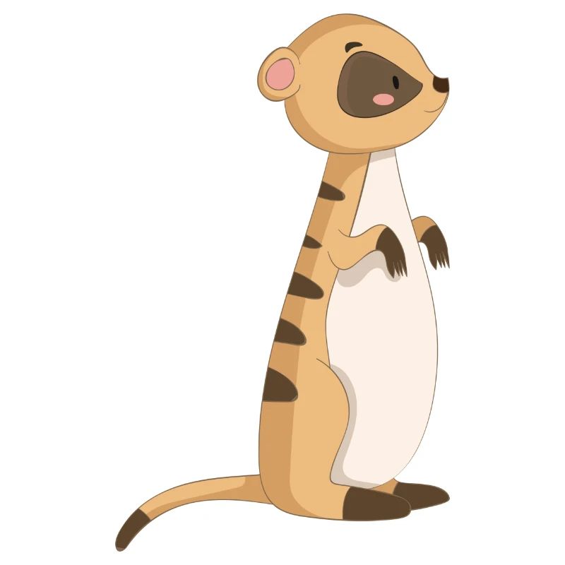 Suricate Chat de mer