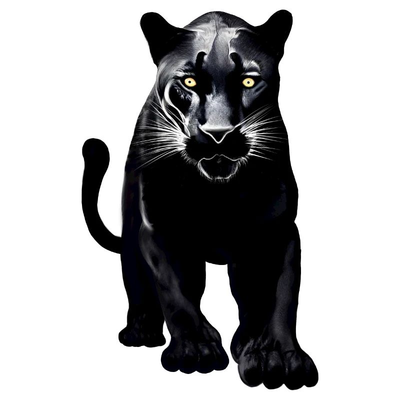 Schwarzer Leopard