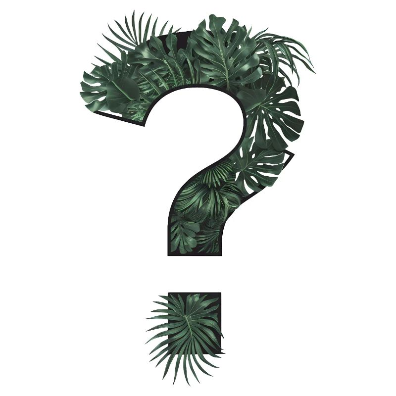 Point d’interrogation plantes tropicales