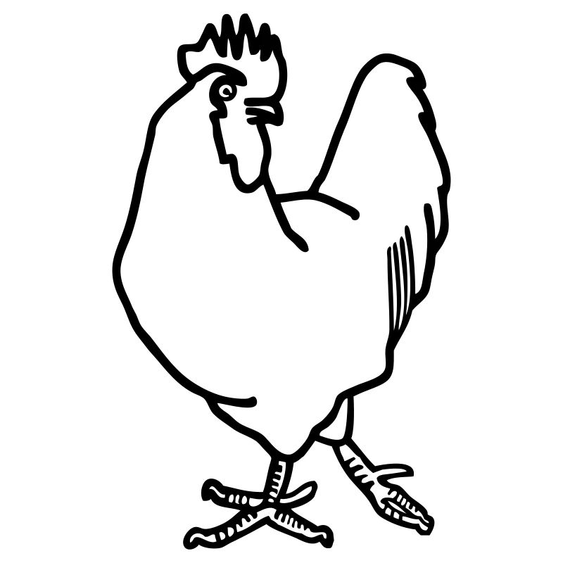 Rooster