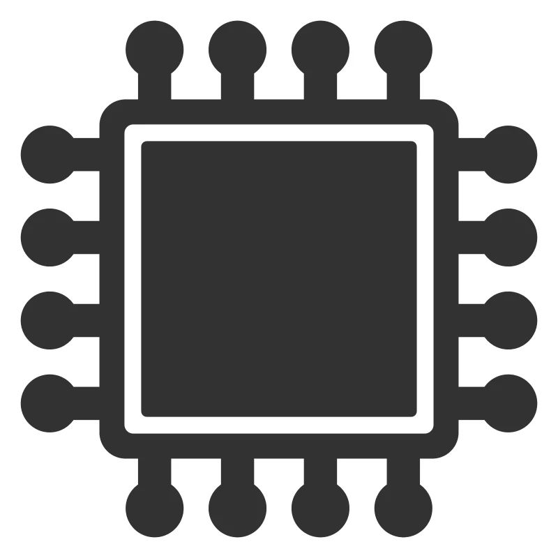 Microchip cpu