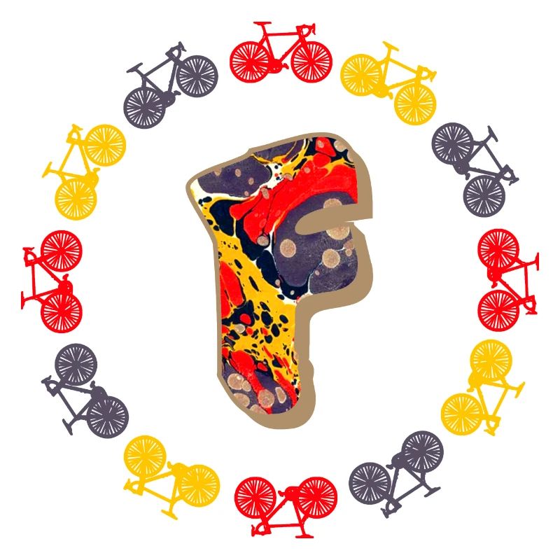 Bicycle E 202 F