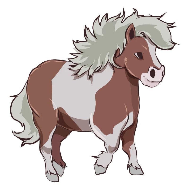 Shetty Geschenk