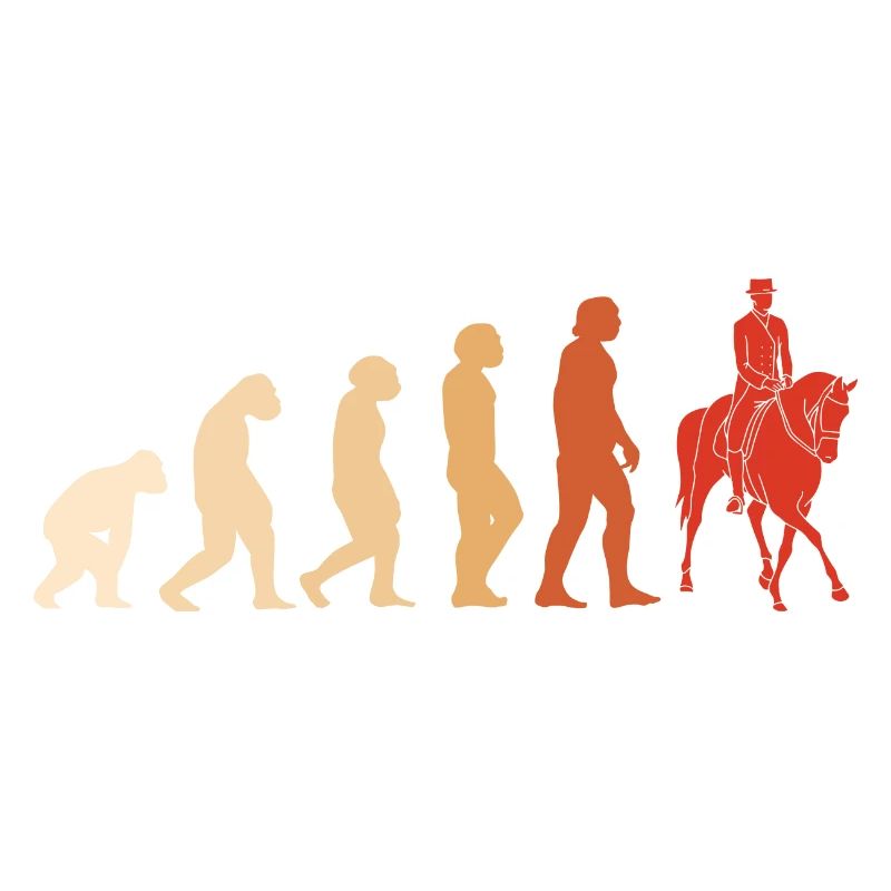 Sport Evolution Equestrian