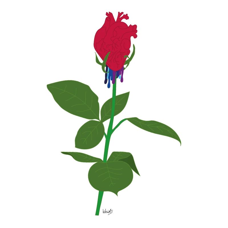Herzrose