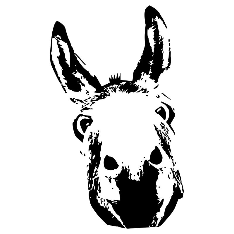 Donkey King