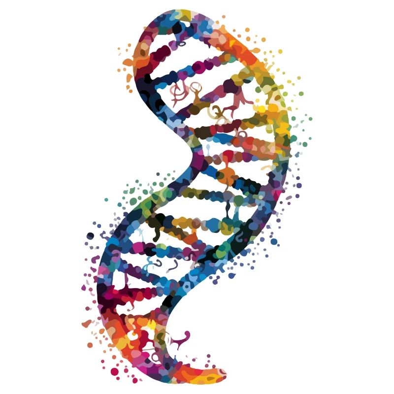 DNA-Molekül