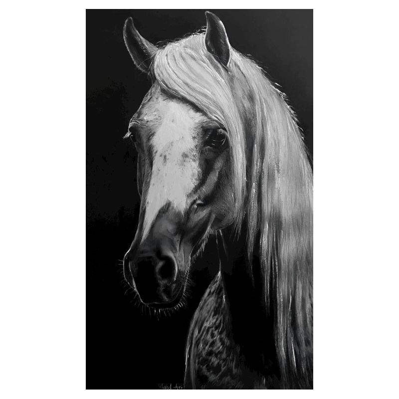 Cheval blanc