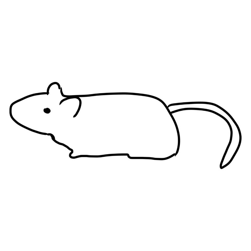 Maus Ratte Symbol Tier