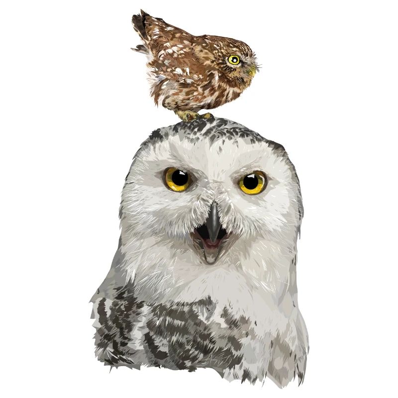 Rapaces nocturnes