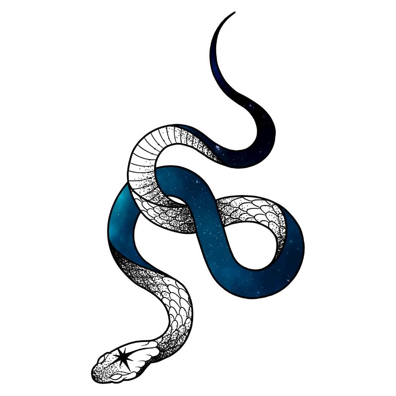 Serpent cosmos