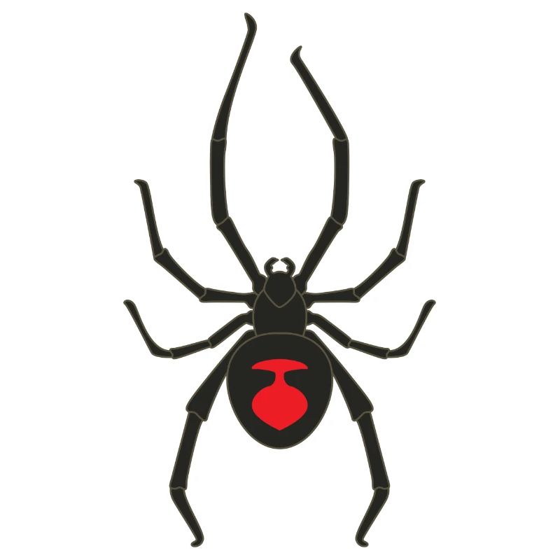 Black widow