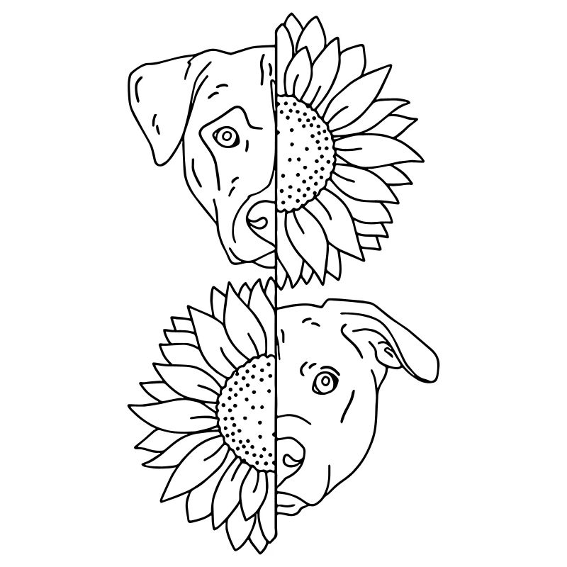 chien