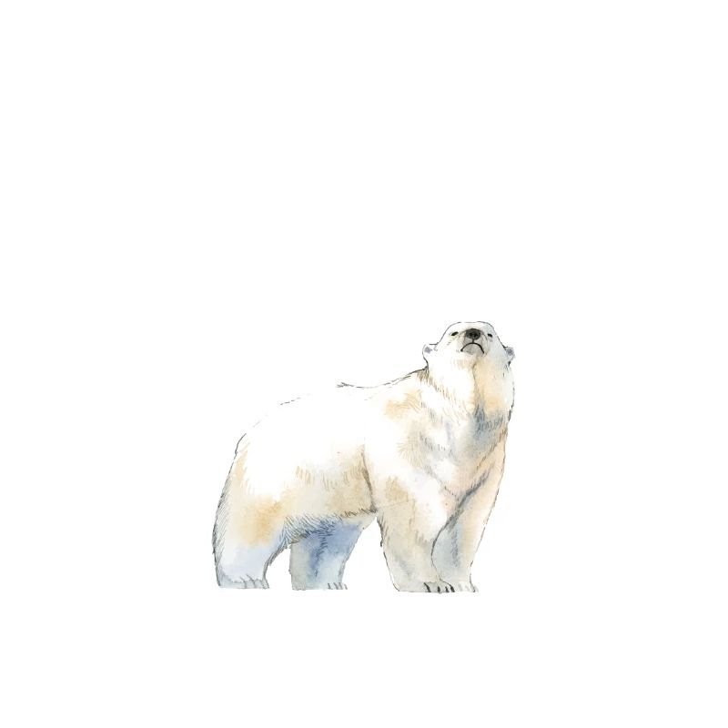 Das ist mein menschliches Kostüm Ich bin wirklich ein Eisbär