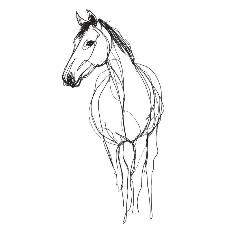 Line Art Pferd