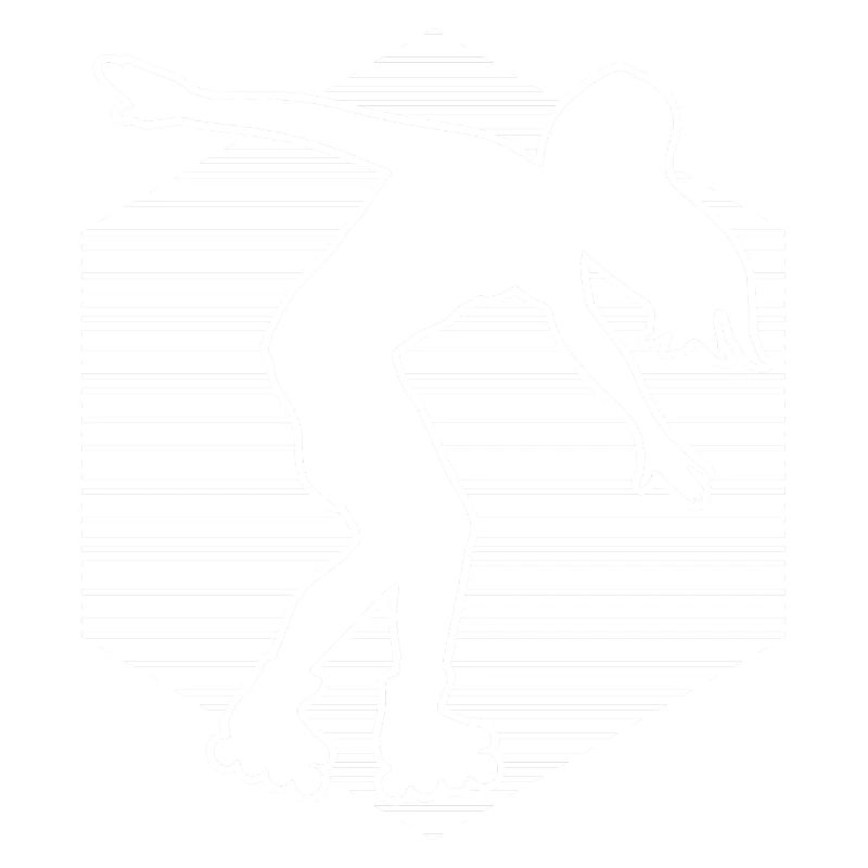 Roller Roller RollersKates Roller Skate Roller Skate