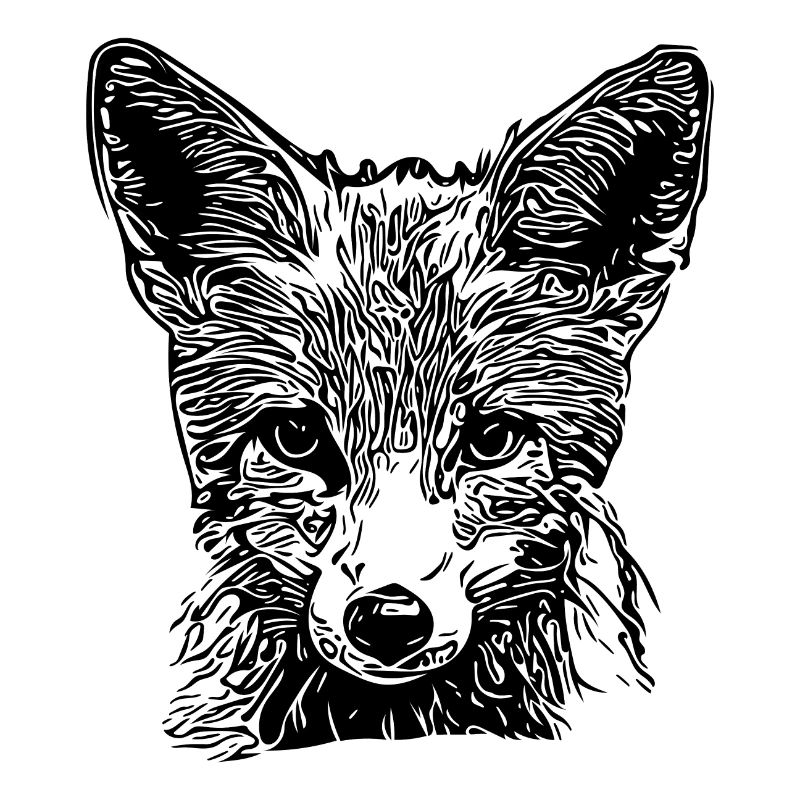Cute Young Fox Drawing
