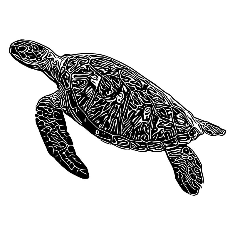 Vintage diving turtle
