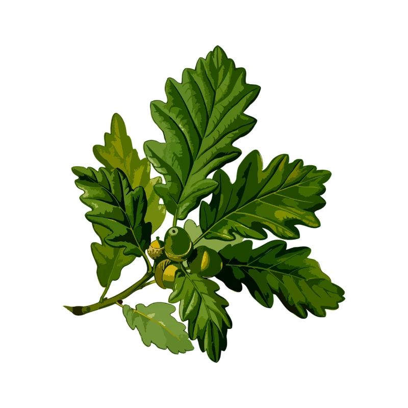 branch