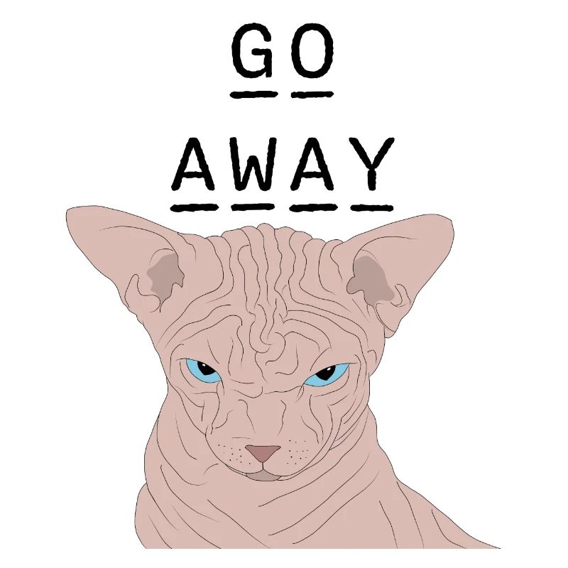 Grumpy sphynx - geh weg