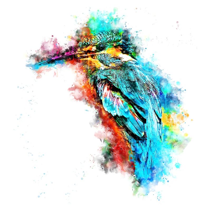 gxp eisvogel kingfisher wasserfarben spritzer