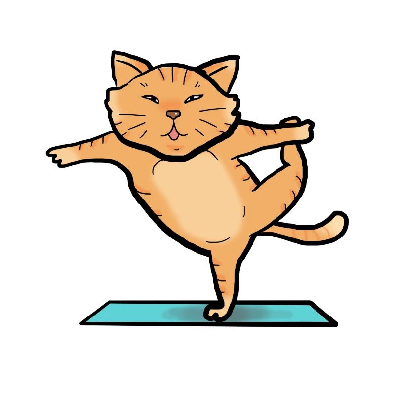 Katze beim Sport