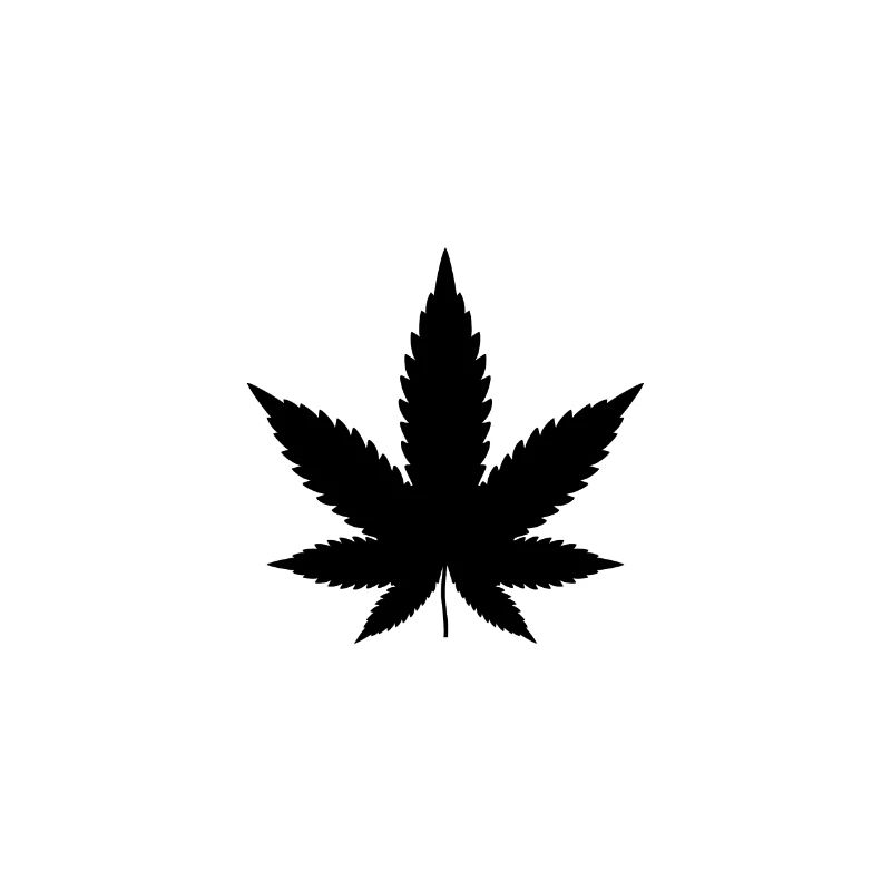 Feuille de Canabis, feuille de chanvre, marijuana