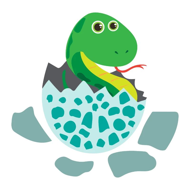 Bébé serpent éclosent - Idée de cadeau