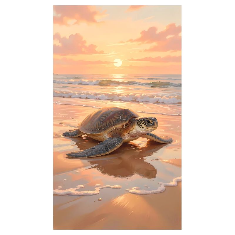 Turtle Sea Sea Turtle Beach