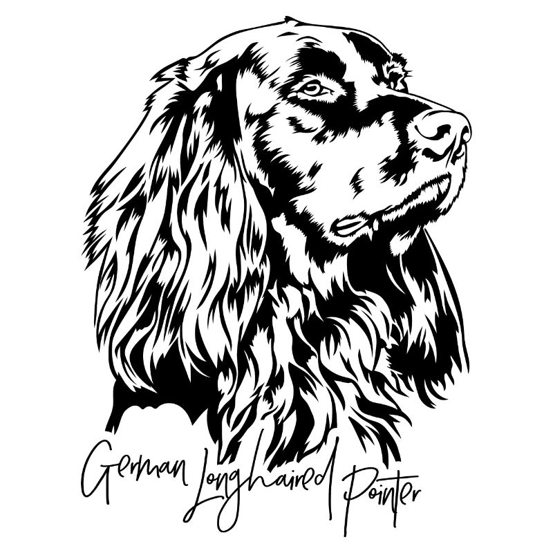 Pointer allemand à poil long chiens de chasse chiens Wilsigns