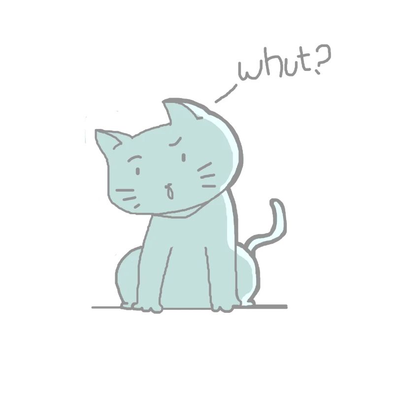 chat mignon