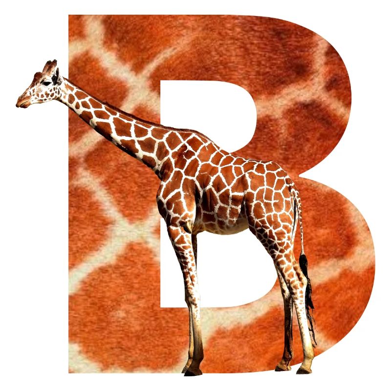 giraffe b