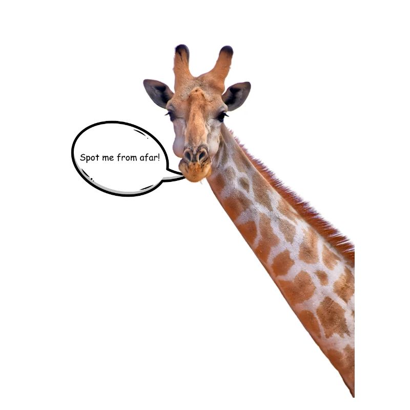 « Repérez-moi de loin! » Conception de T-shirt Girafe