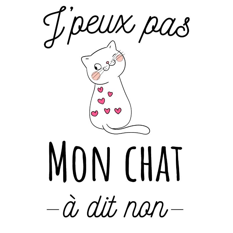 J'peux pas mon chat à dit non, humour de chat