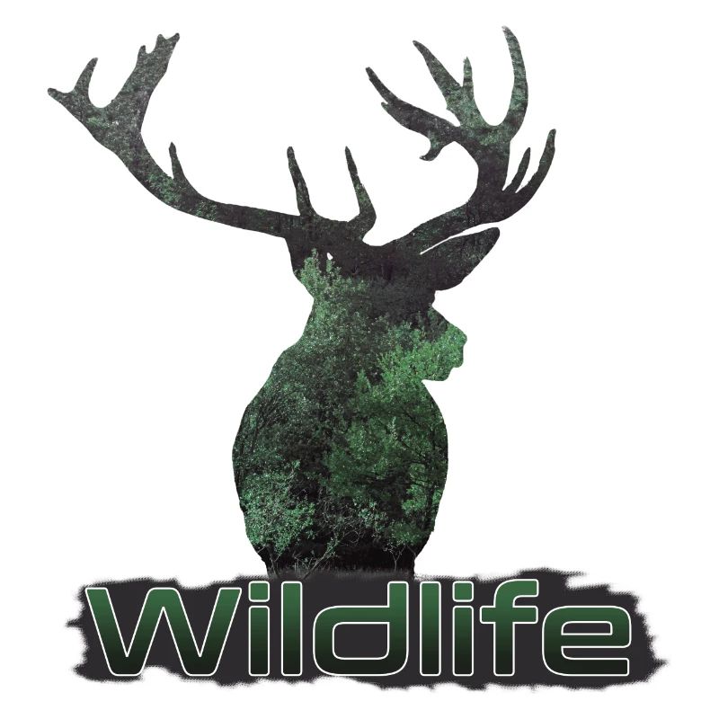 Cerf de la faune