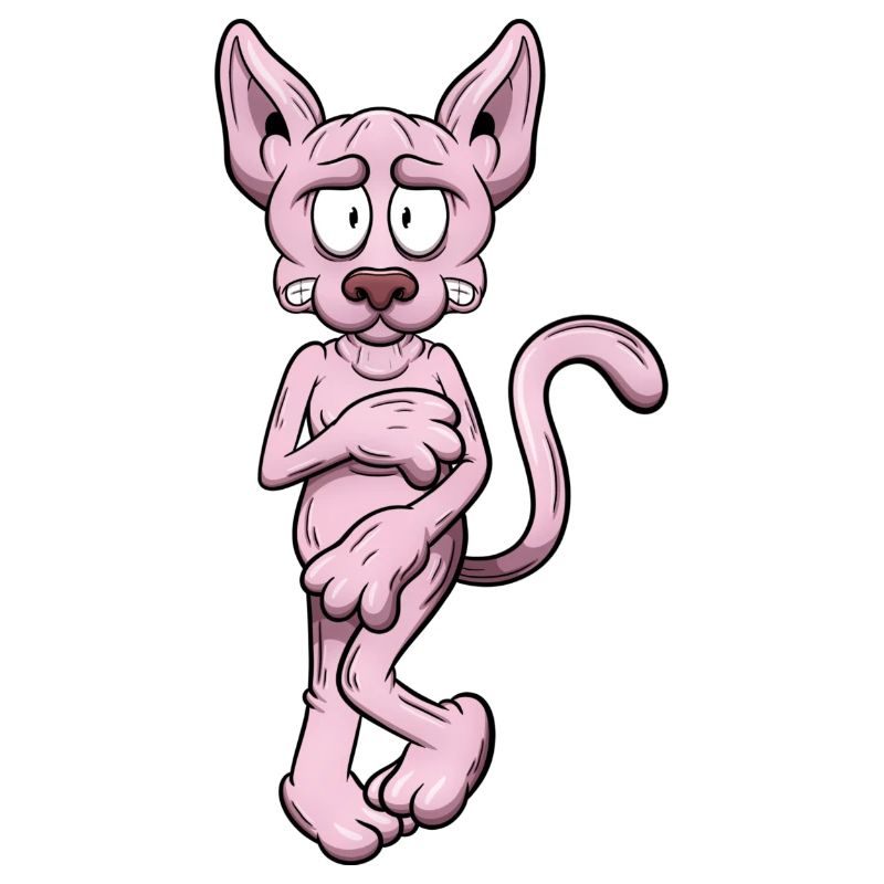 Nackte Sphynx Katze