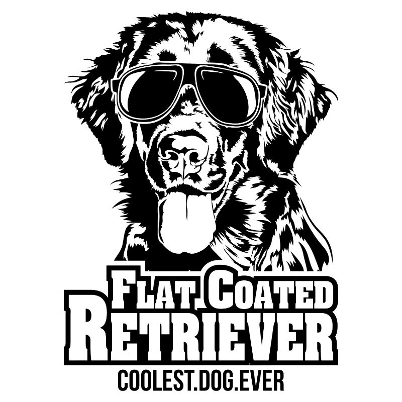 FLAT COATED RETRIEVER chien le plus cool jamais Hundespruch
